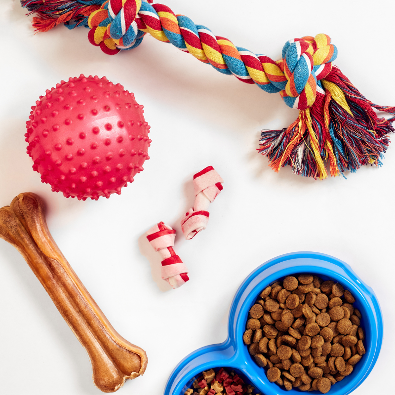 Dog Toys