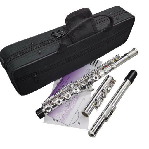 Top Japan Flute YF-271 482 Professional Cupronickel C Key 16 Hole Flute Silver Plated Musical Instruments With  Accessories
