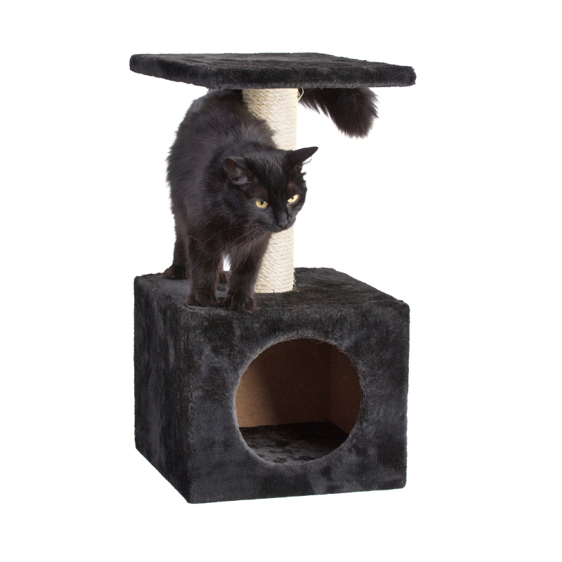 Animal Furniture & Scratchers