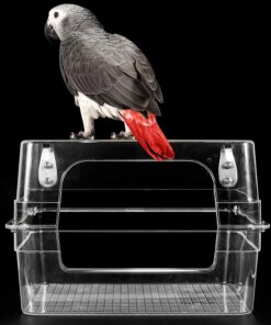 Bird Bath for birds  Parrots Tub Large Clear Transparent Swimming Pool Box for Birds to Splash and Play Parrot Shower Bathtub