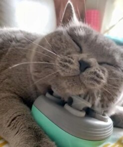 Electric Cat Massager Head Back Scratcher for Relieving Tension Pet Massage Tool Shoulder Neck Deep Tissue Head Scalp Massager