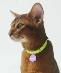 Anti-suffocation Safety Cat Collar Small Dog Collar Puppy Collar Customization Tag Cats Accessories Pet Supplies  Collar Gato