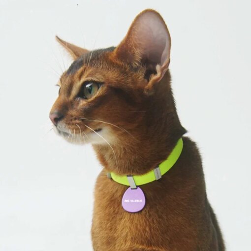 Anti-suffocation Safety Cat Collar Small Dog Collar Puppy Collar Customization Tag Cats Accessories Pet Supplies  Collar Gato