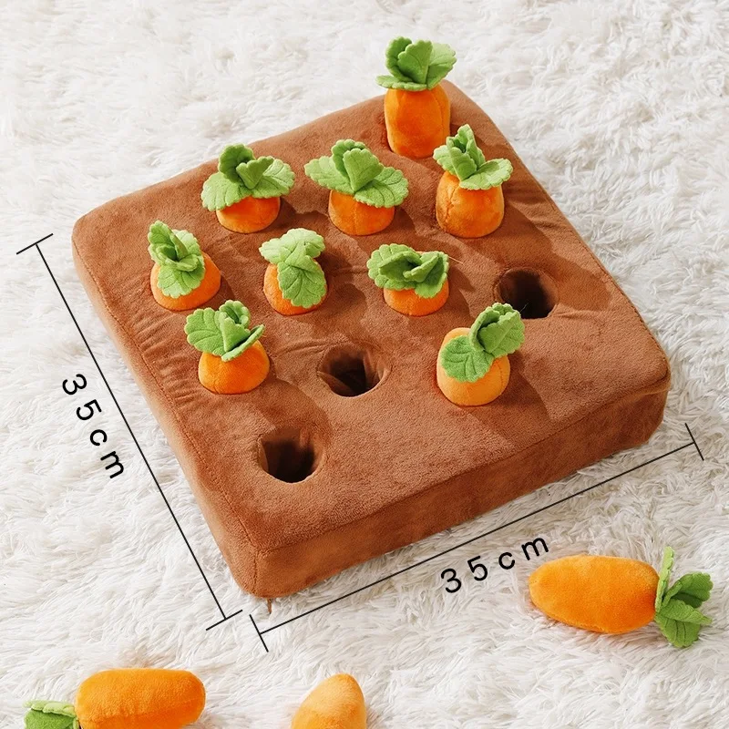 12 Carrots 35x35cm