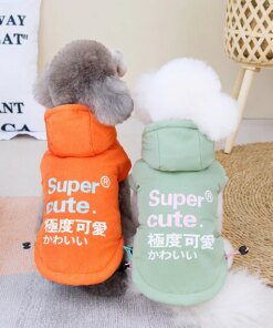 Super Cute Dogs Puppies Outdoor Snow Winter Warm Coat Jacket Pet XS 2XL 7XL Apparel Chihuahua Golden Retriever Oufit Cat Hoodie