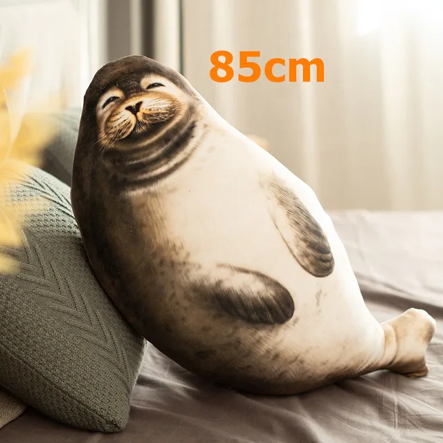 85cm boy