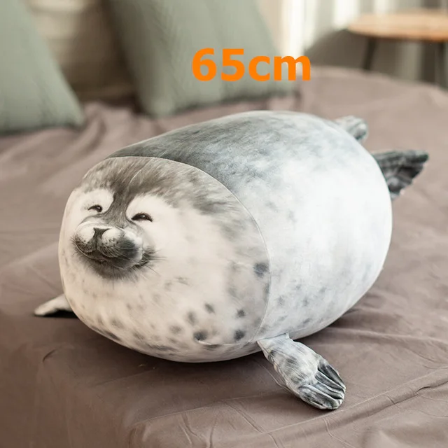 65cm