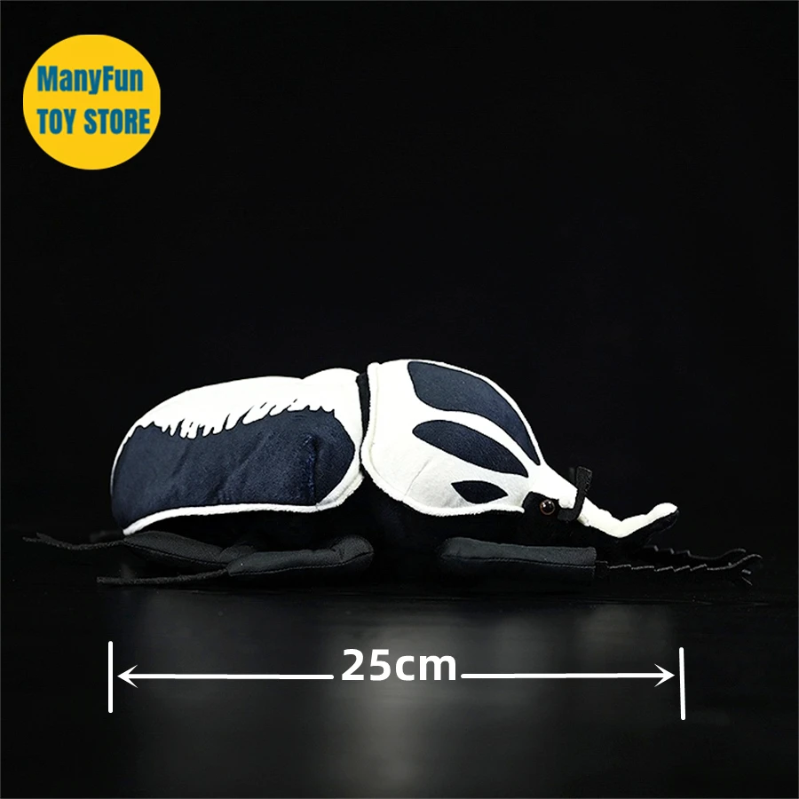 25cm